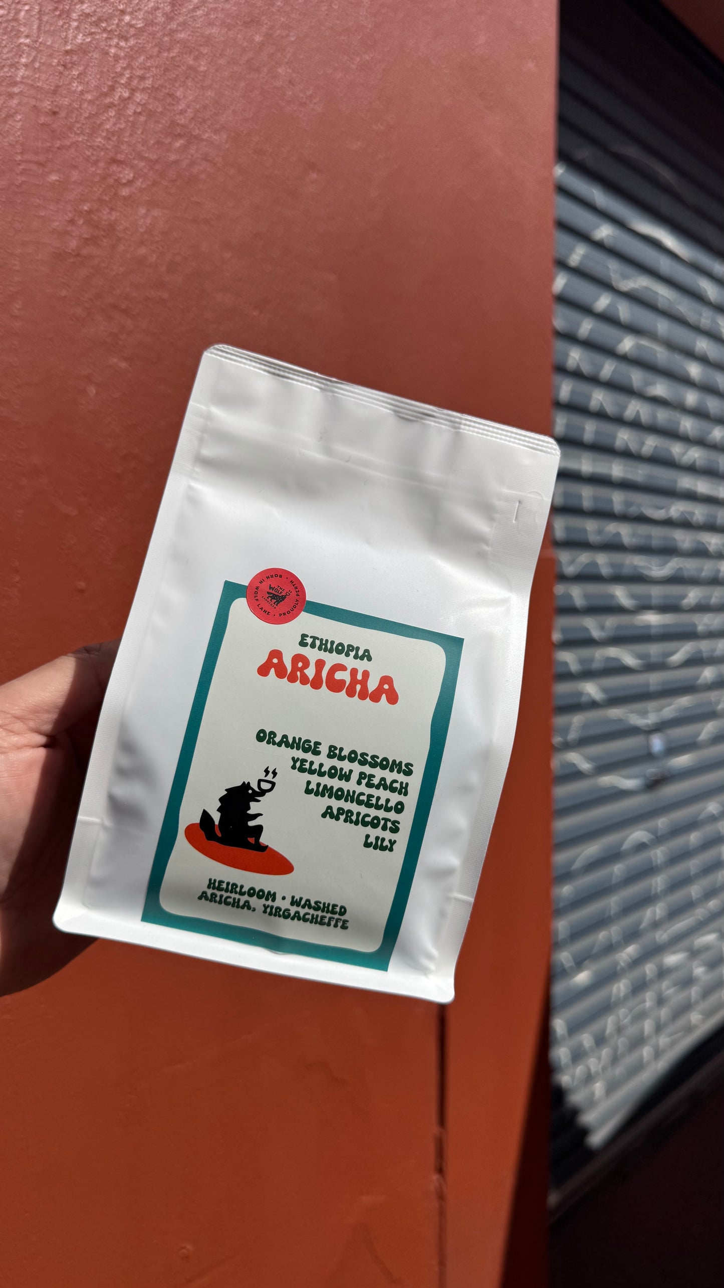 Ethiopia Aricha (washed)