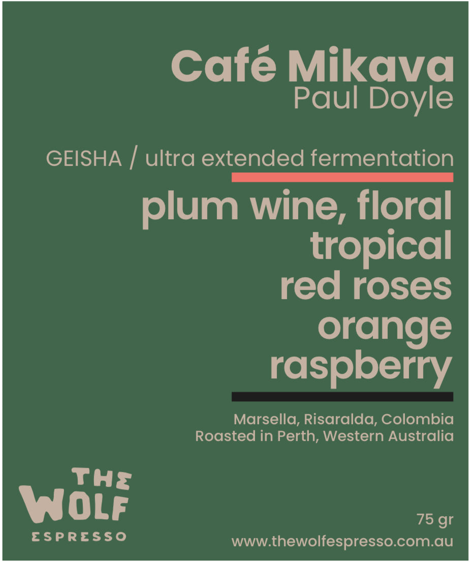 [EXOTIC FILTER] Café Mikava (Paul Doyle) Geisha
